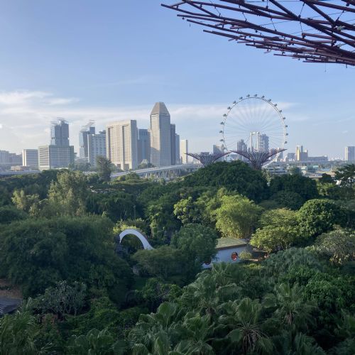 Day3GardensbytheBay25.3.2410)