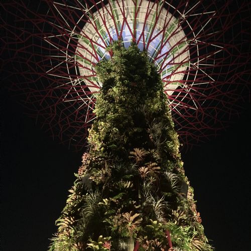 Day3GardensbytheBay25.3.2415)