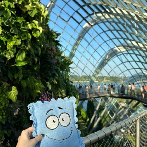 Day3GardensbytheBay25.3.245)