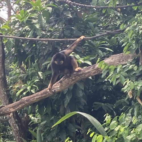 Day5SingaporeZoo27.3.2410)