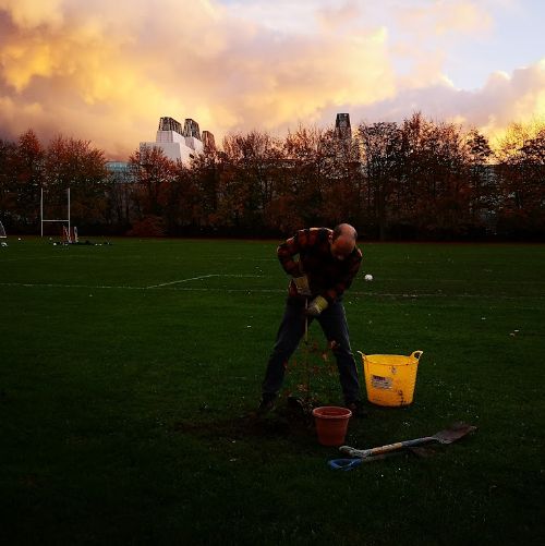 Tree Planting - Nov. 2022