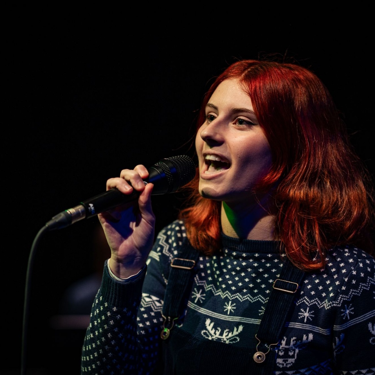 Horncaste news christmas apeal